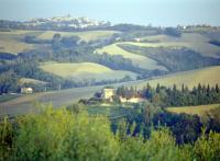 Op de top van een heuvel in het glooiende landschap van Pesaro-Urbino, aan de voet van Barchi, Orciano en Mondavio, ligt het agriturismo Montesoffio.