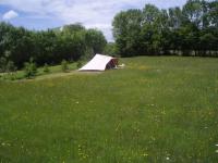 tent in groen groen weiland