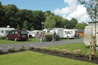 De standplaatsen voor de caravans op Camping Memling
