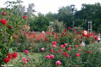 De tuin bij Petrin Hevel